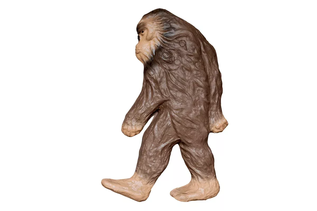 BIGshot Real Wild 3D Backyard BIGFoot Archery Target with EZ Pull Foam