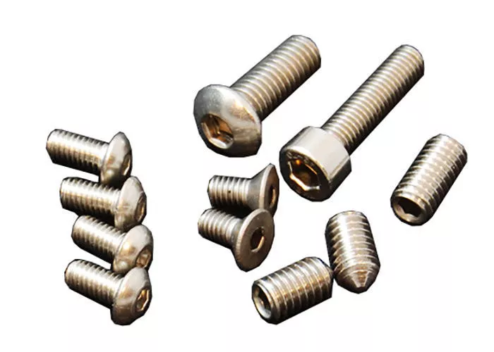 DAA Race Master Holster Spare Screw Set