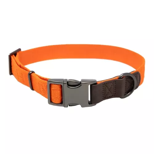 MoMarsh Adjustable Dog Collar 15-23 Hunter Orange
